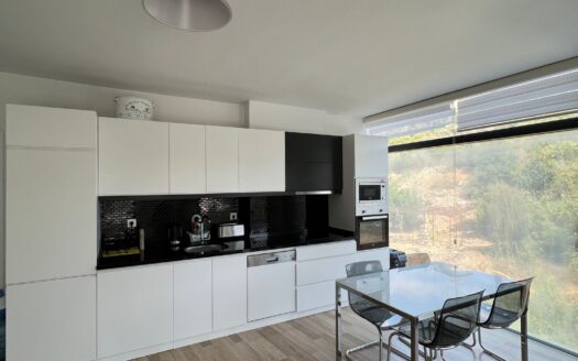 1+1 Apartman u Alanya-Kestel