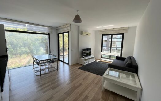 1+1 Apartman u Alanya-Kestel